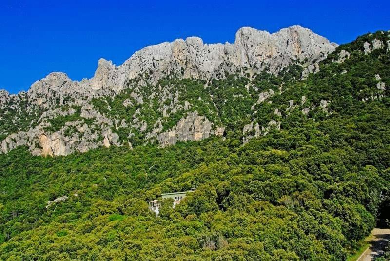 S'Enis Monte Maccione Hotel Oliena Bagian luar foto
