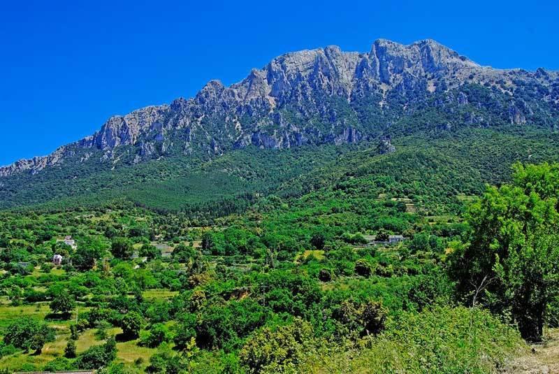 S'Enis Monte Maccione Hotel Oliena Bagian luar foto