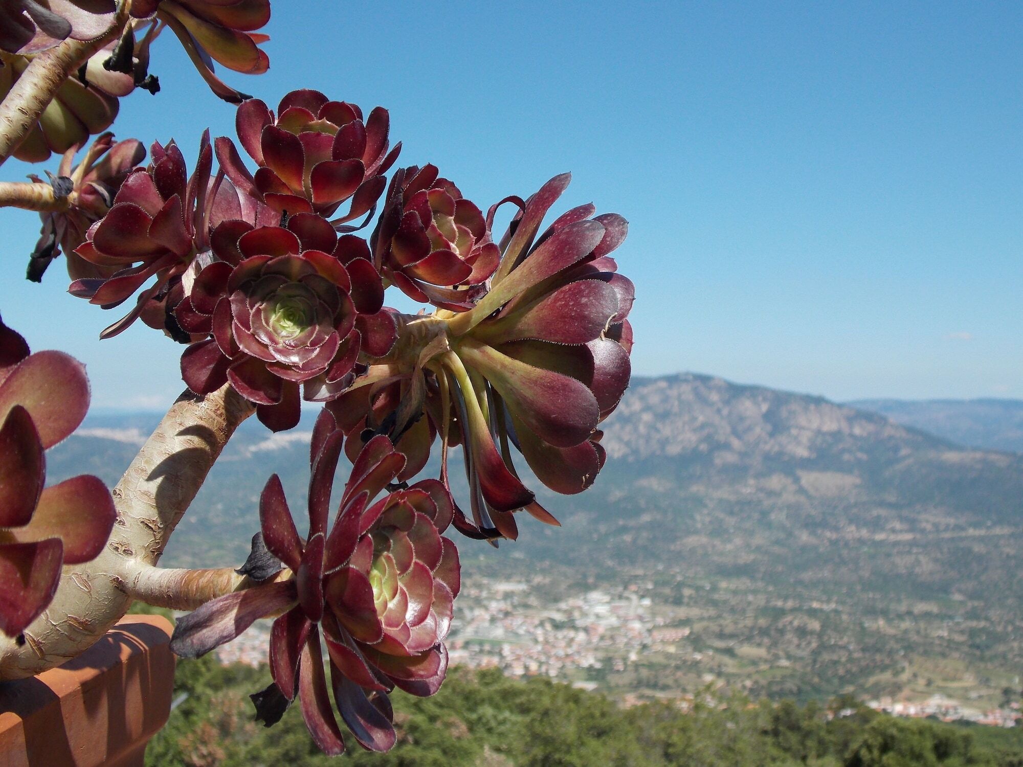 S'Enis Monte Maccione Hotel Oliena Bagian luar foto
